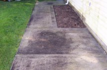 Cement Walkway & House Siding Cleaning